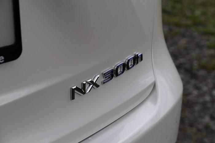 NX 300